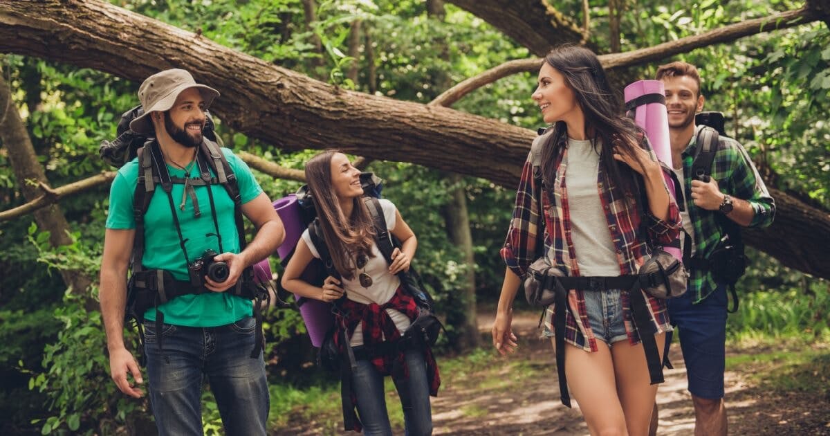 Quatro pessoas caminhando pela floresta, carregando mochilas, cercadas por árvores e natureza exuberante.