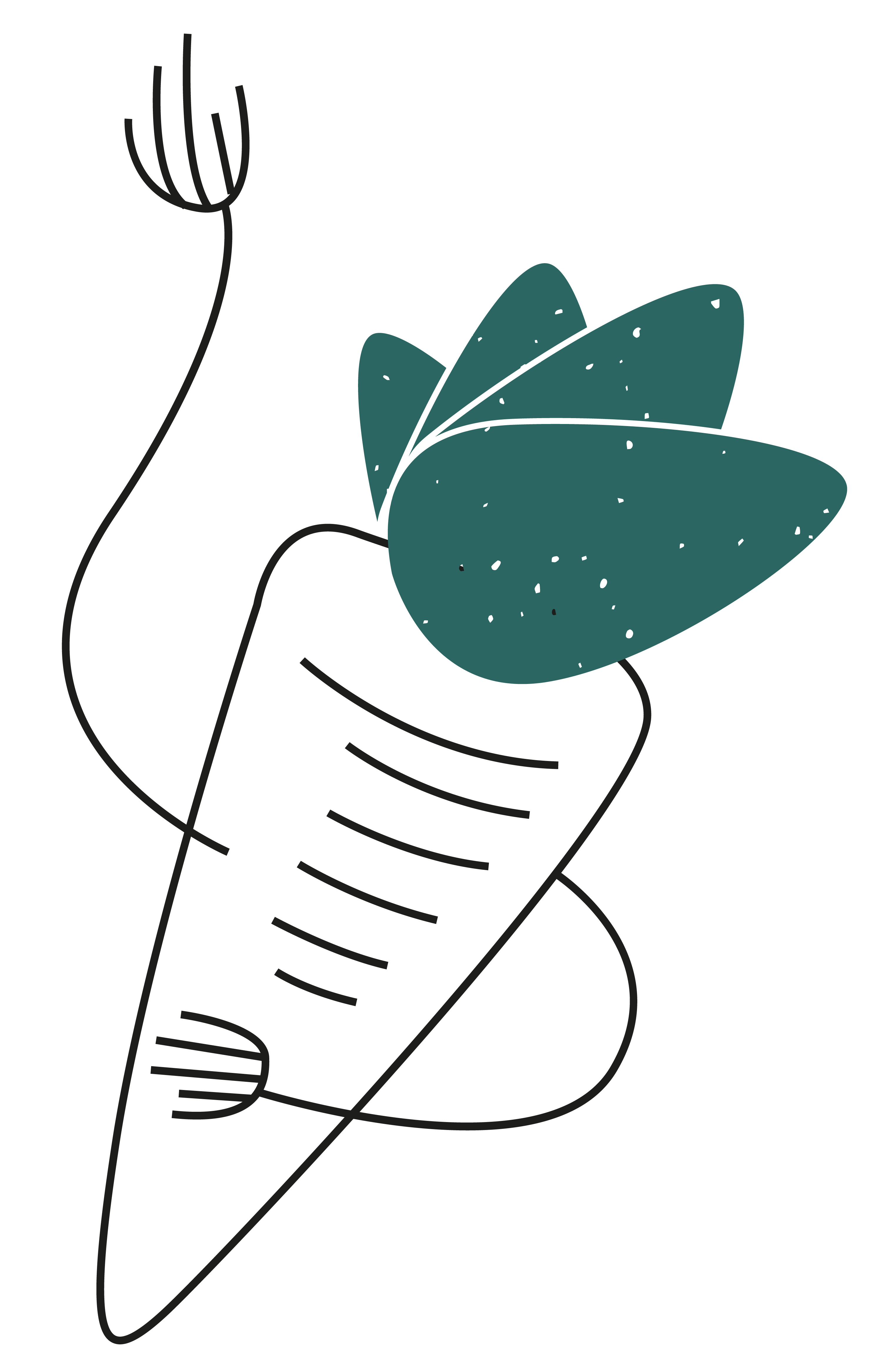 illustratie wortel