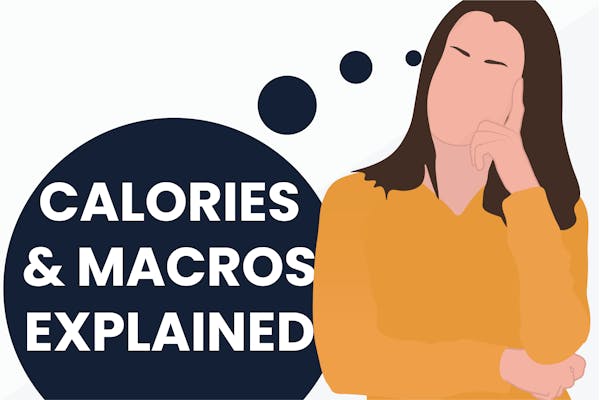 calories--macros-explained-sarcastically