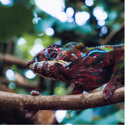 Vom klassischen Mittelständler zur modern geführten Organisation