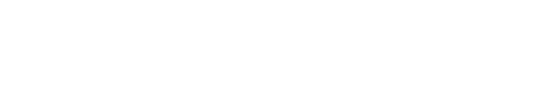 nelnet logo