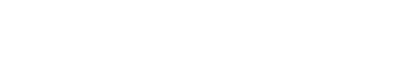 nelnet logo