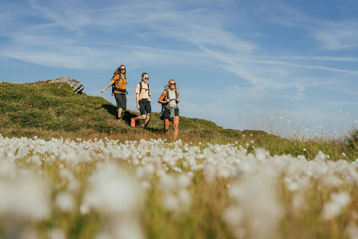 Three friends hiking in Saalbach in Summer