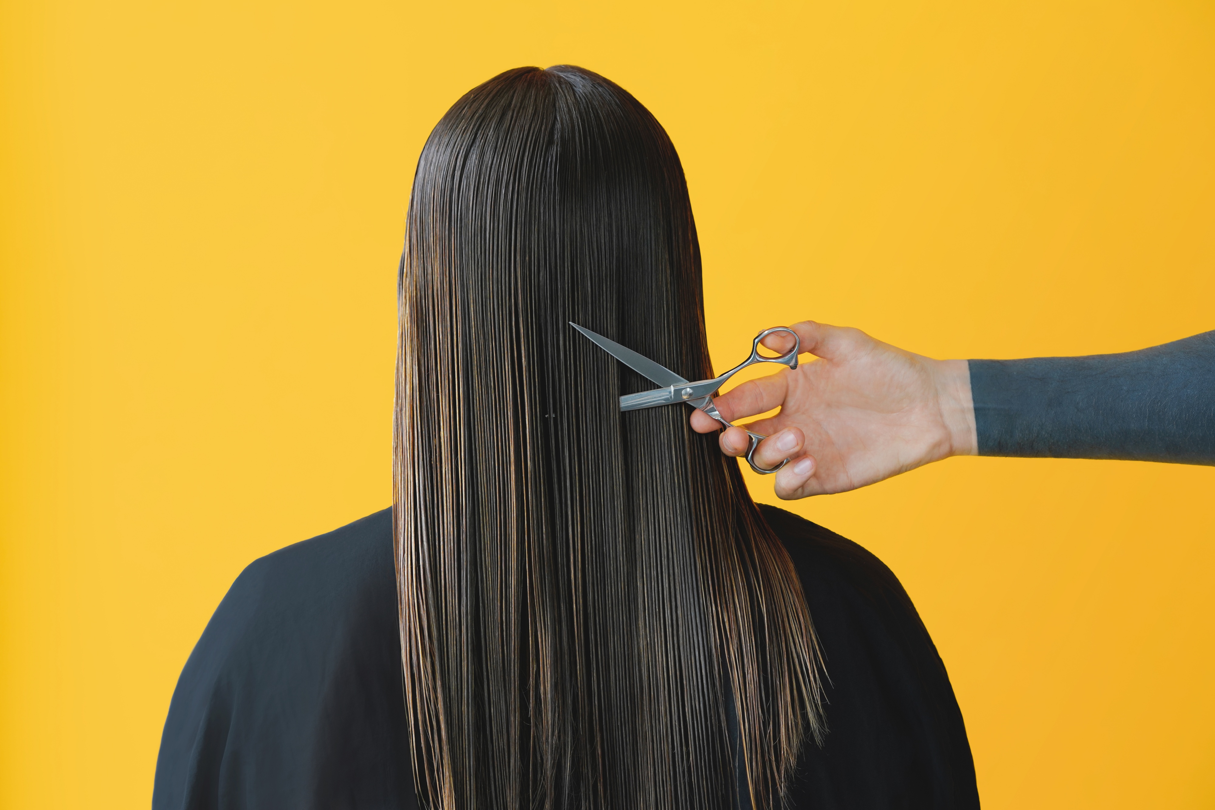 Hairdressers near me Mobile hairdresser near me from £34