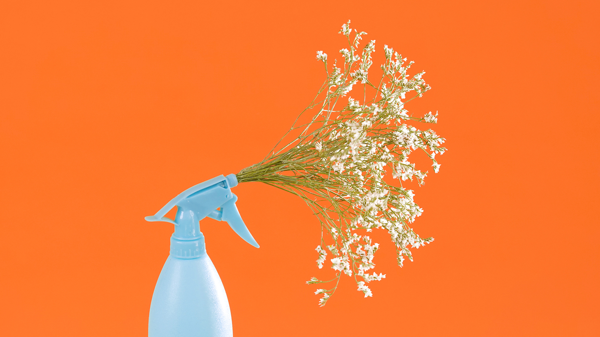 The best eco cleaning products to use DIY, Recipes and Benefits