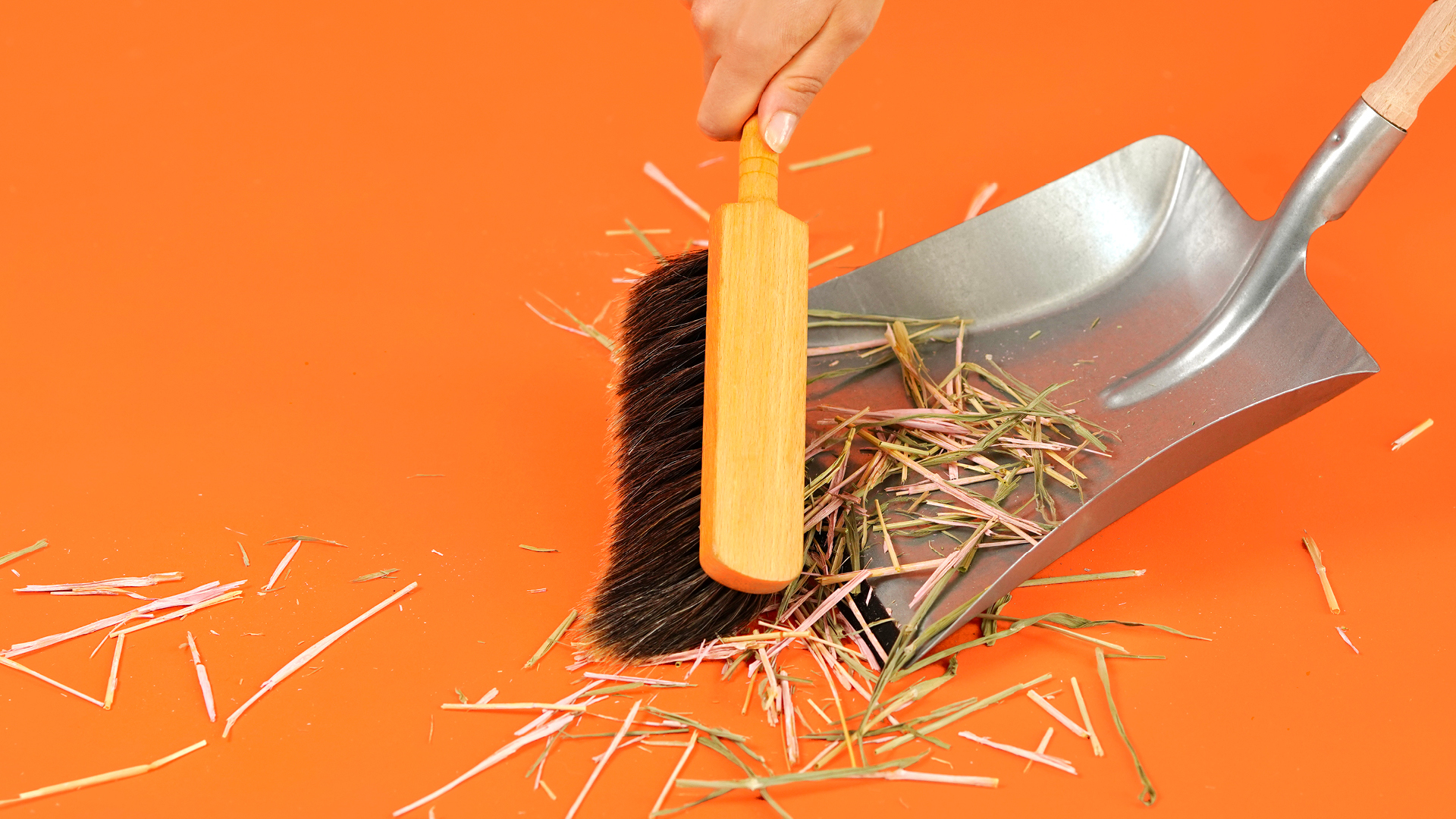 Deep House Cleaning Services For Your Home in London