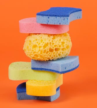 Sponges of different colors