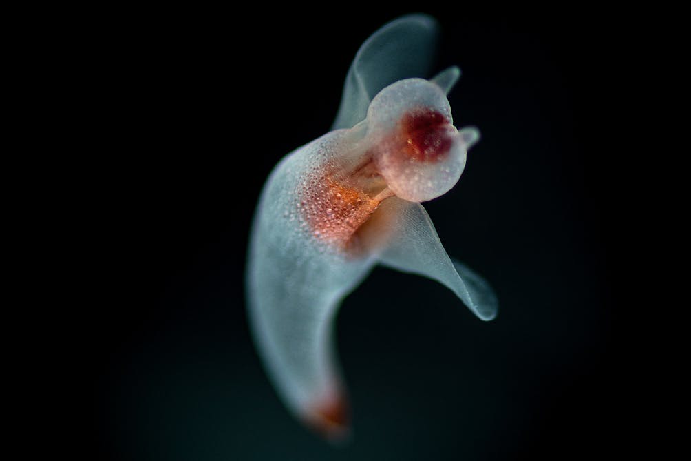 Into the Deep at Monterey Bay Aquarium