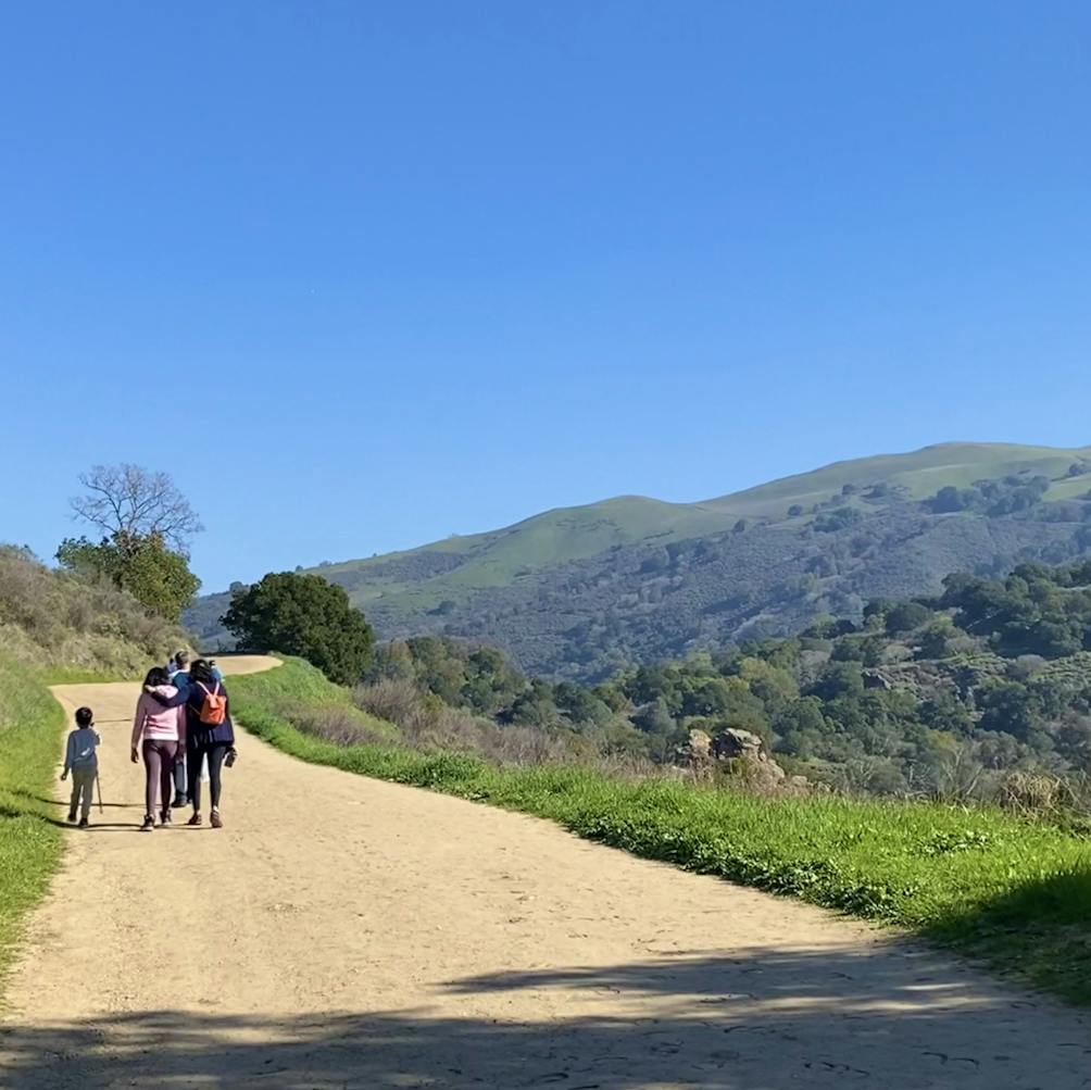 Hikers on wide open trail at Alum Rock Park in San Jose