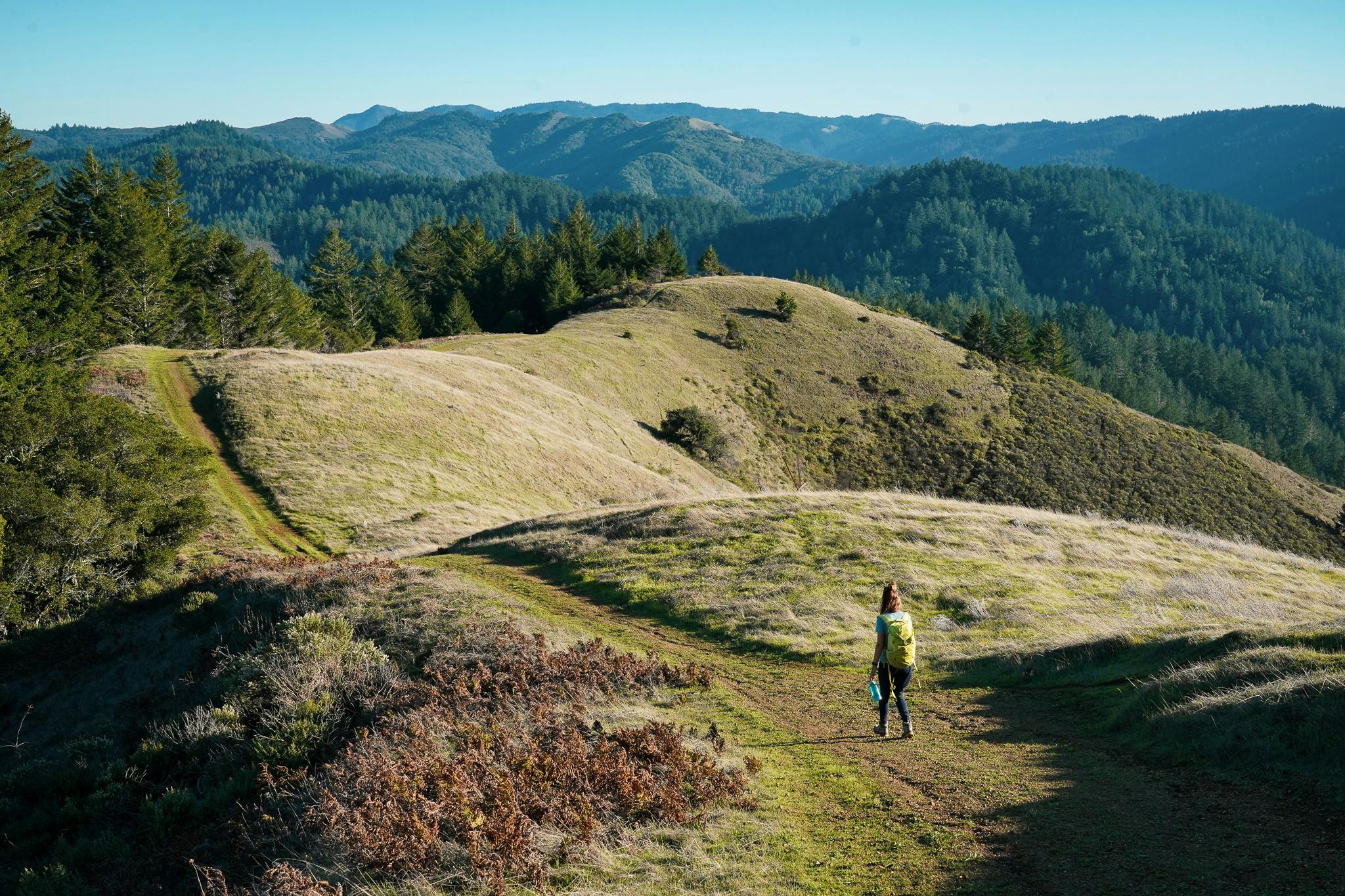 Woman hiking a wide open trail among green rolling hills at Samuel P Taylor State Park in Marin 