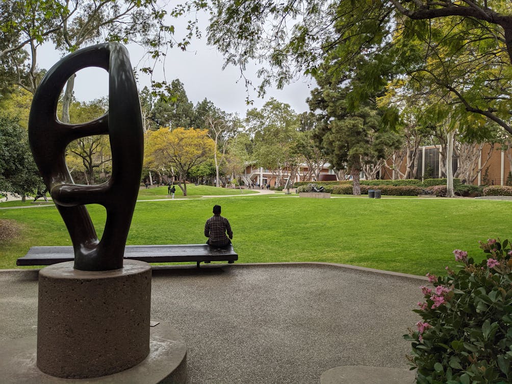 Person sitting on a bench overlooking a green grassy area at UCLA
