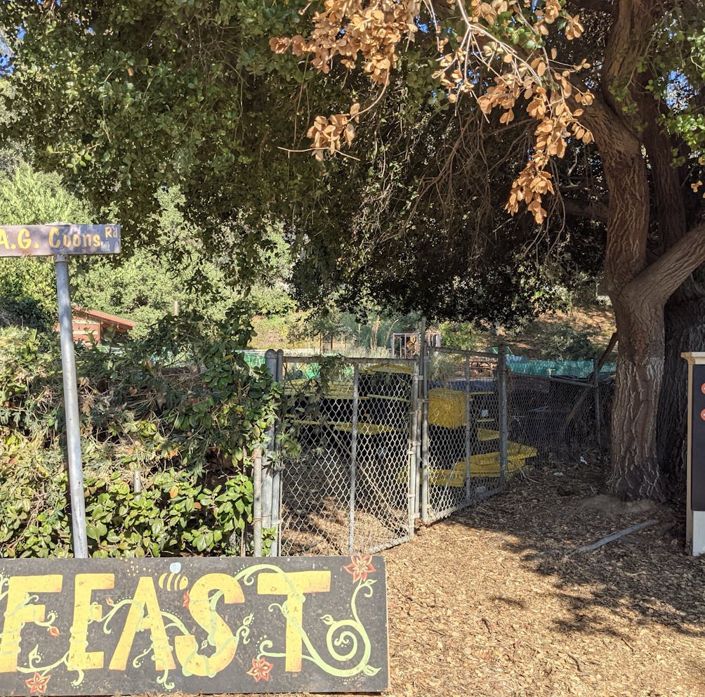 Occidental Campus Feast local community garden 