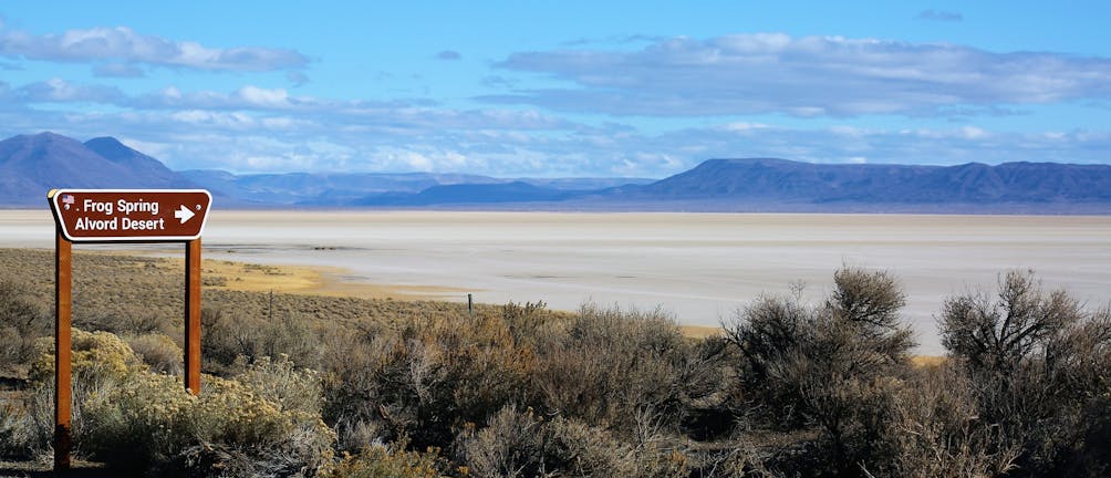 Frog Spring Alvord Desert