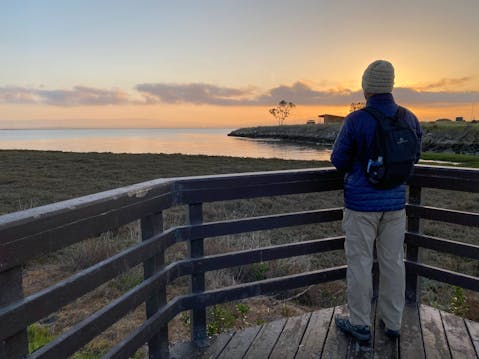 Man standing at boardwalk overlooking the wetland at Ravenswood Preserve