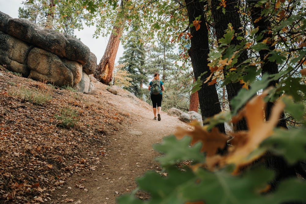 Hiker on Grays Peak trail at Big Bear Lakes in Southern California 