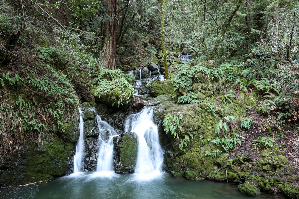 Cataract Falls on Mount Tamalpais