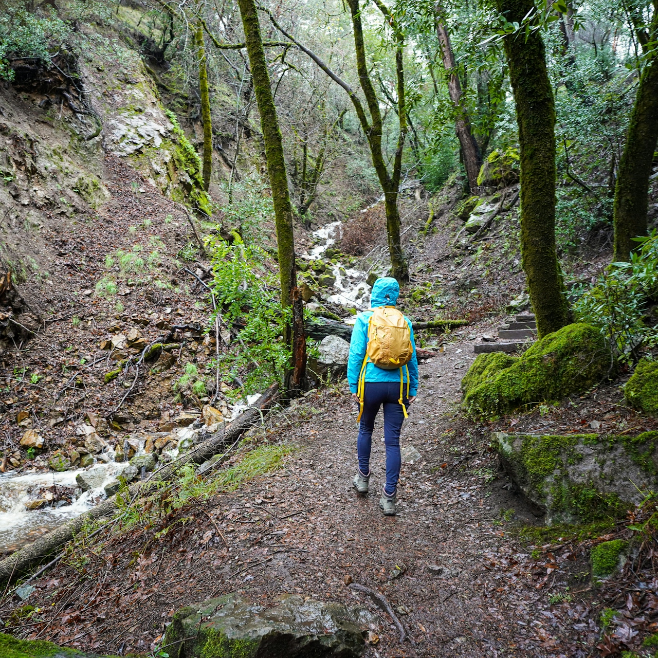 waterfall hike in Sugarloaf Ridge State Park