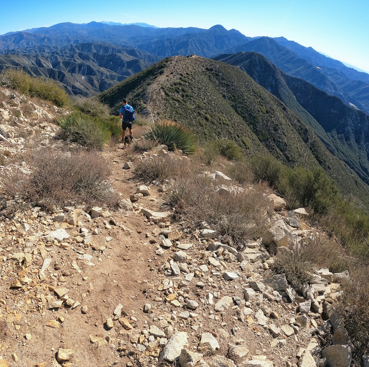 Hiker and dog on the trail enroute to Condor Peak in the San Gabriel mountains 