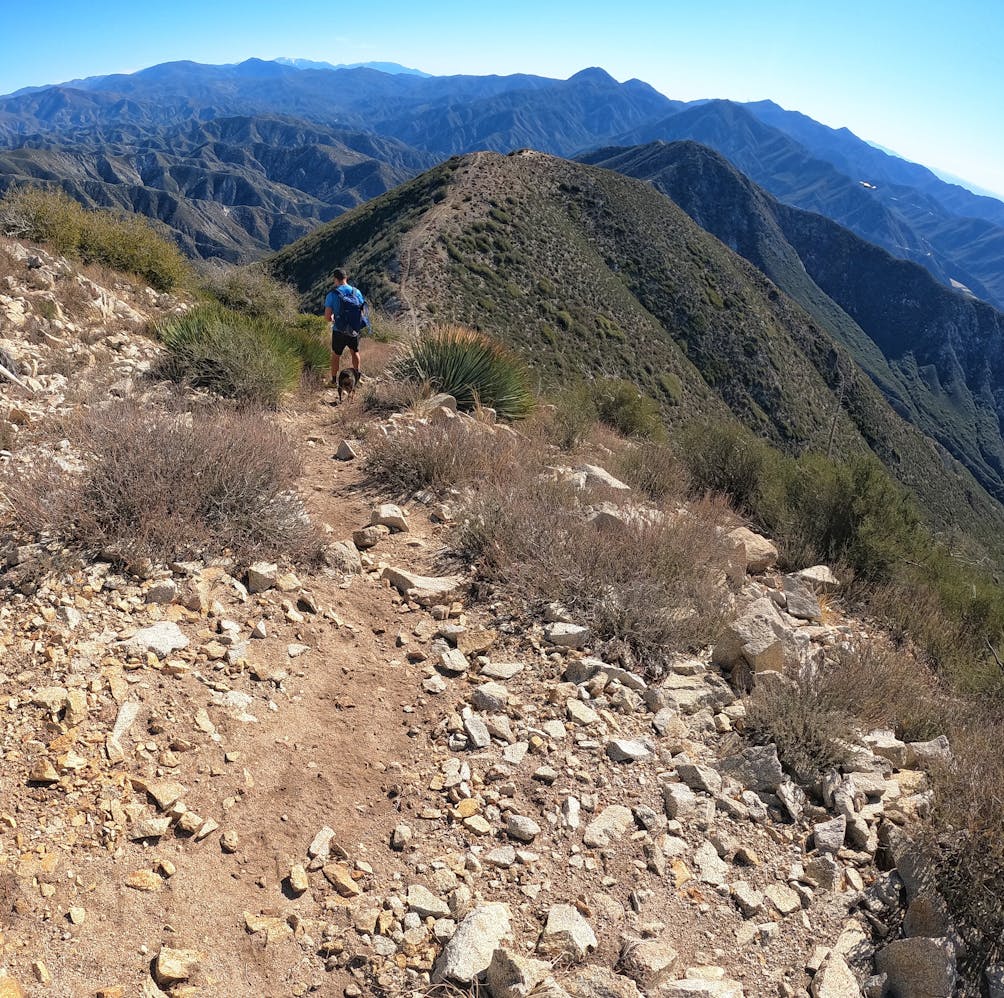 Hiker and dog on the trail enroute to Condor Peak in the San Gabriel mountains 
