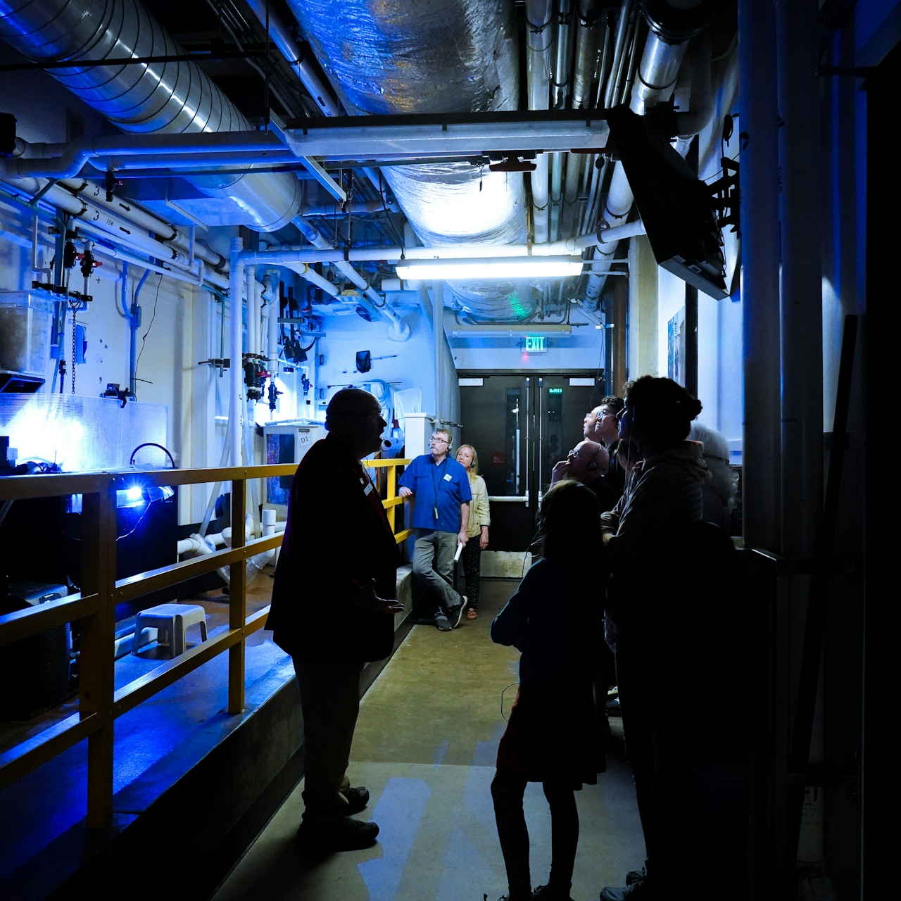 Behind the Scenes Monterey Bay Aquarium