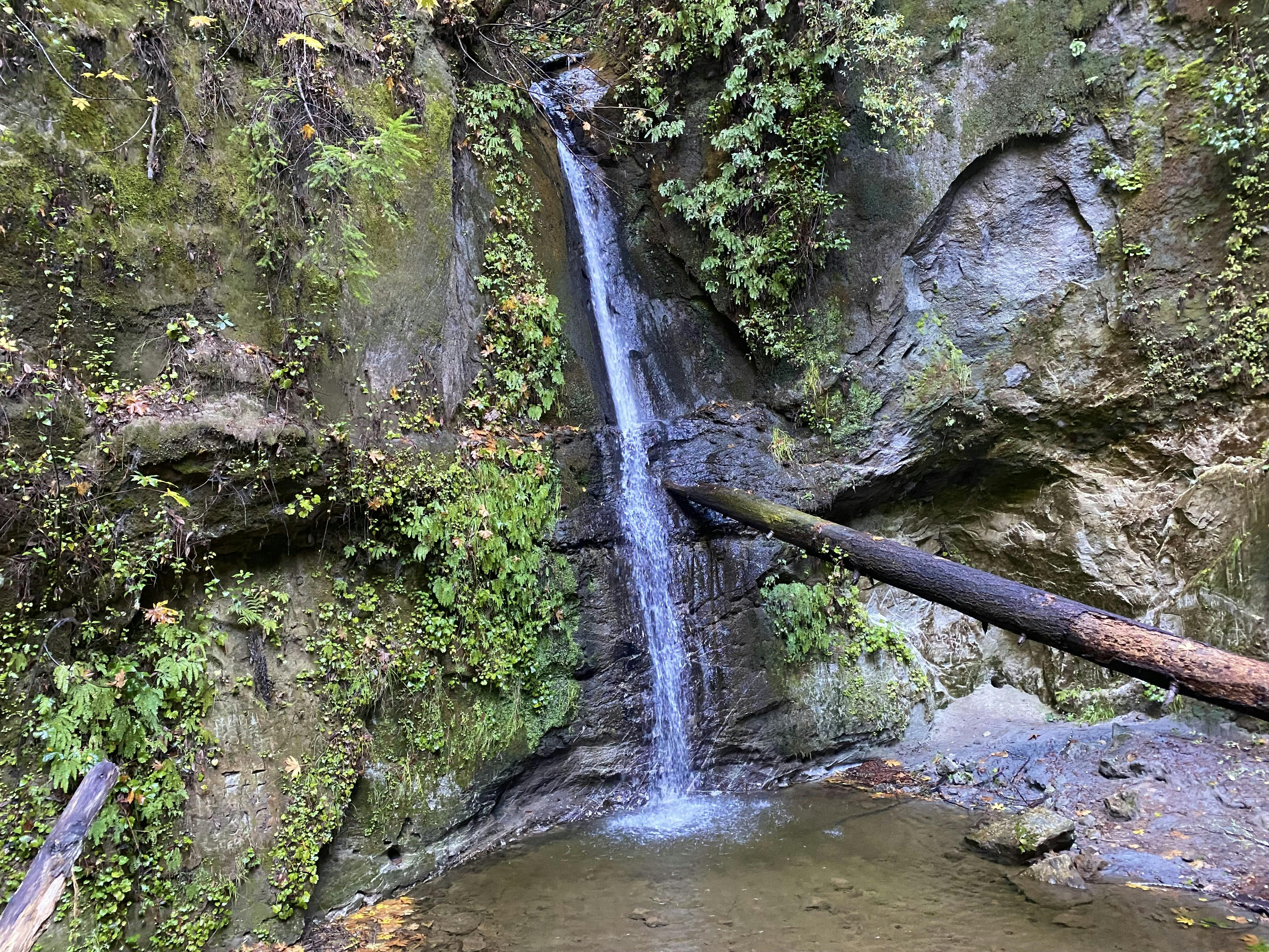 Maple Falls in The Forest of Nisene Marks State Park