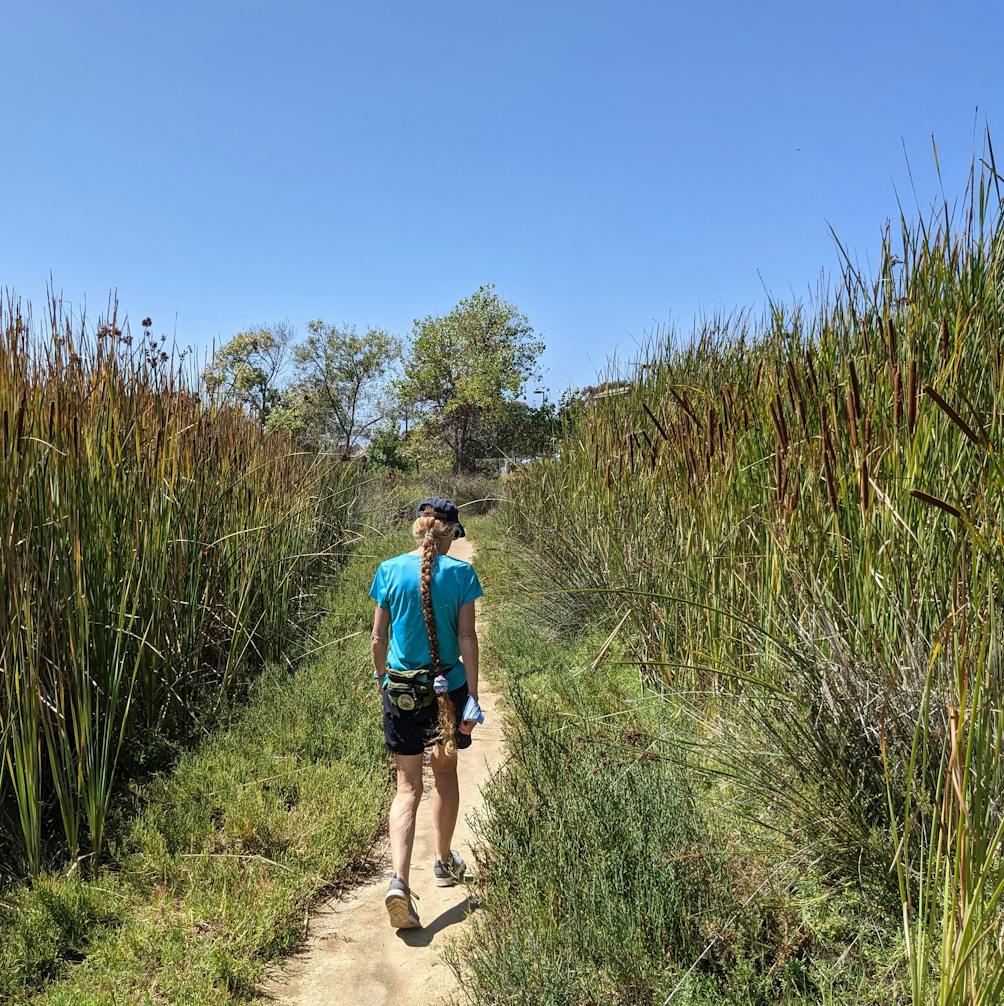 Woman hiking on a trail surrounded by foliage at Buena Vista Lagoon in Carlsbad 