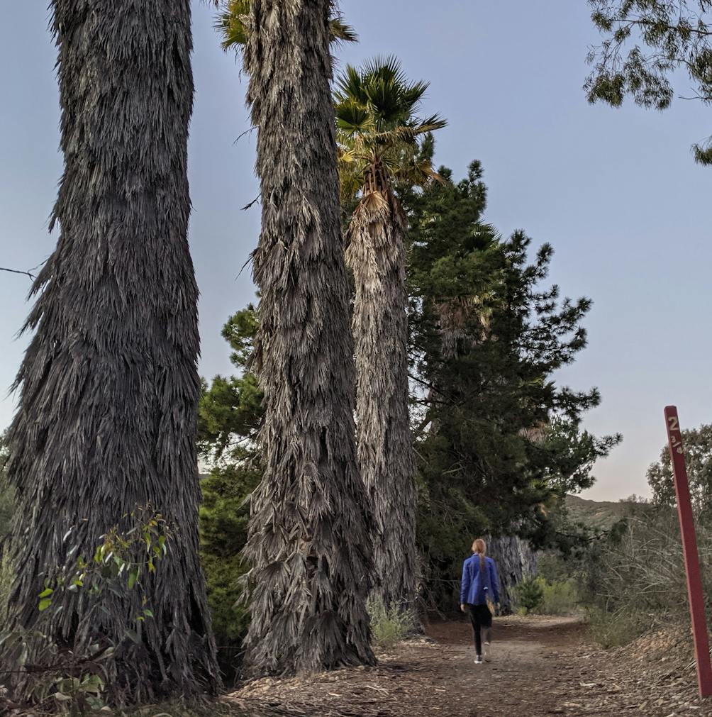 Woman walking among palms at Lake Miramar in San Diego 