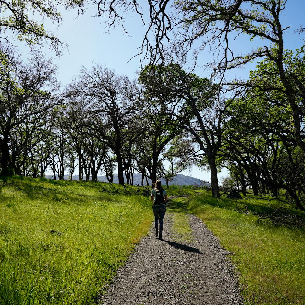 Woman on hiking trail at Sonoma Valley Regional Park 