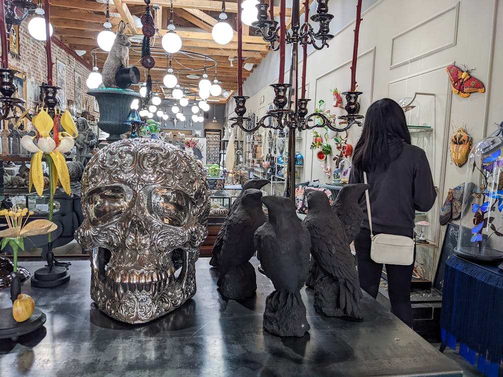 Shiny skull sculpture inside the Gold Bug store in Pasadena 