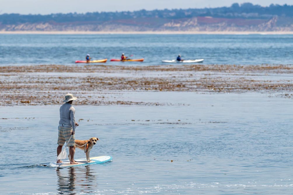 Standup paddleboard in Monterey