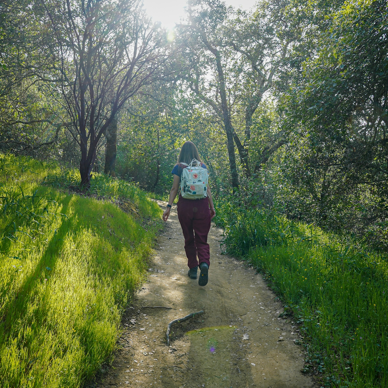 Hiker at Healdsburg Ridge Open Space Preserve 