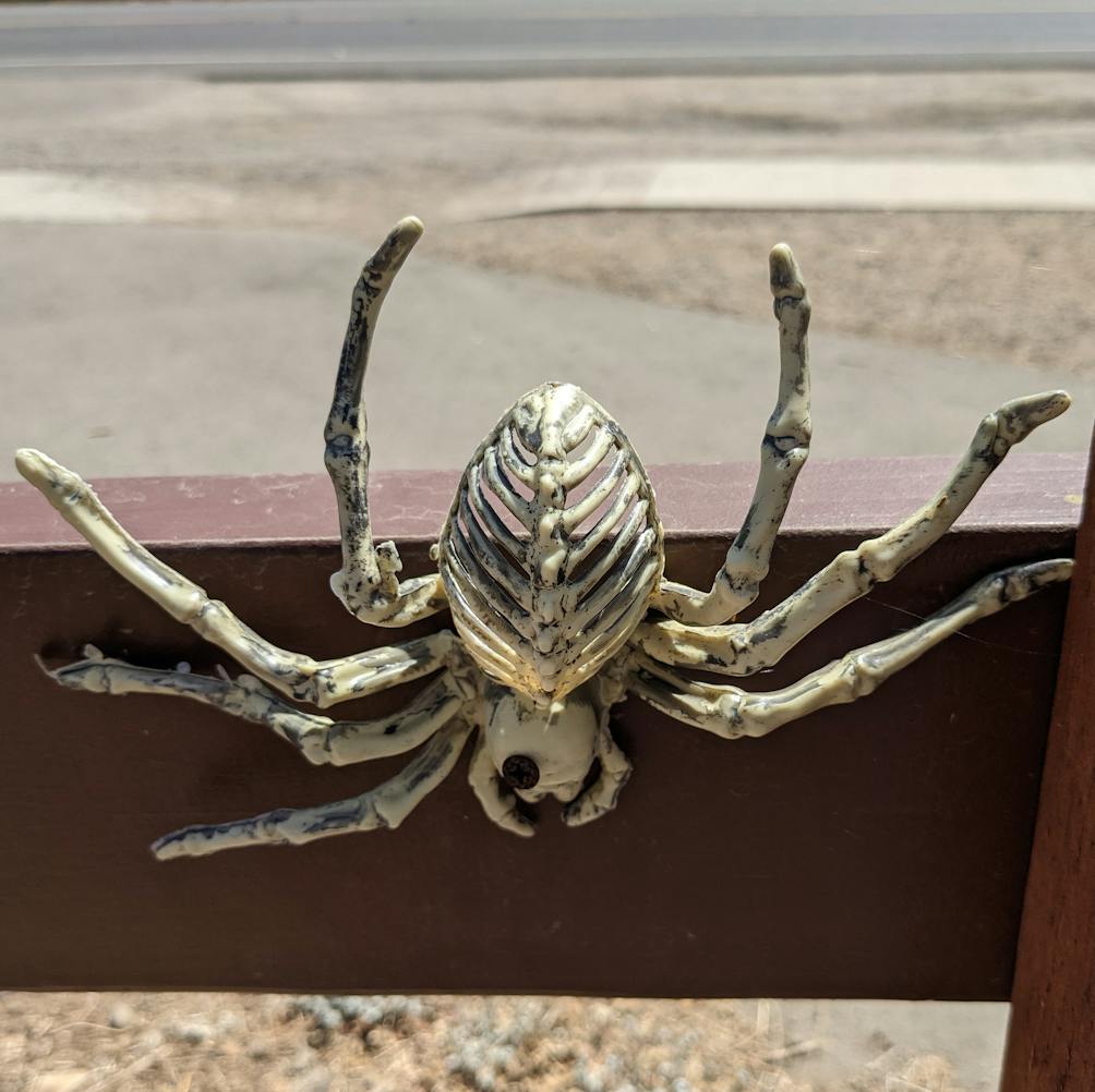 A tarantula ornament on the fence at Tarantula Hill in Thousand Oaks California 