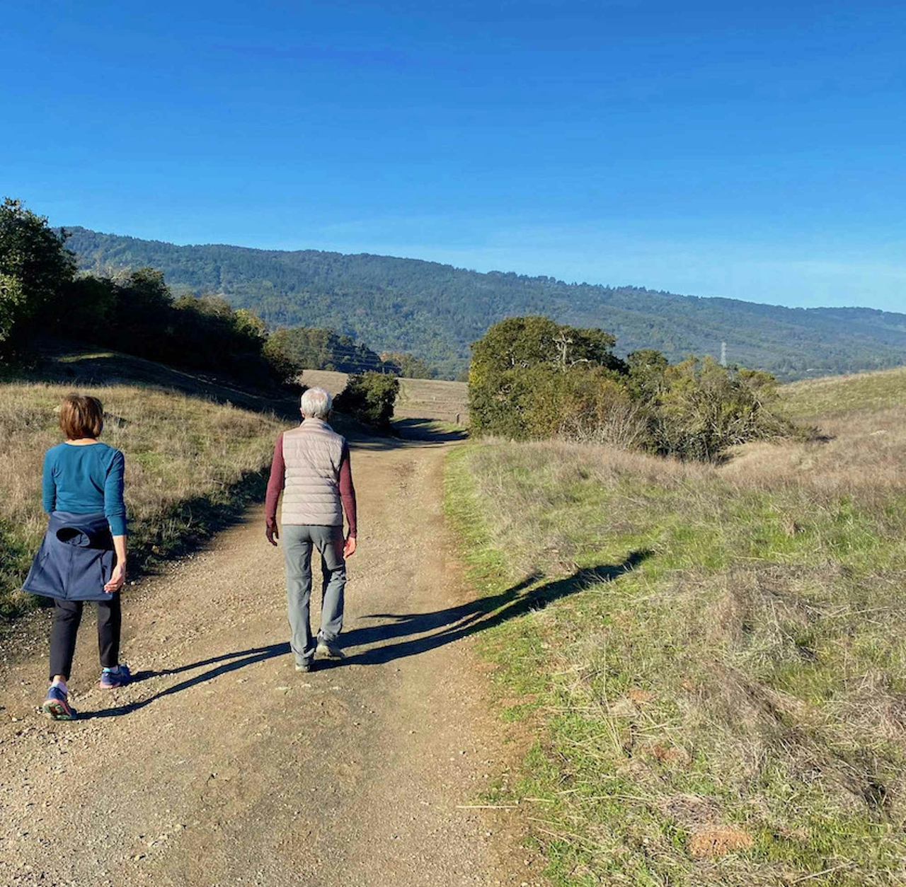 Hikers on the trail at Edgewood Park and Natural Preserve in Woodside 