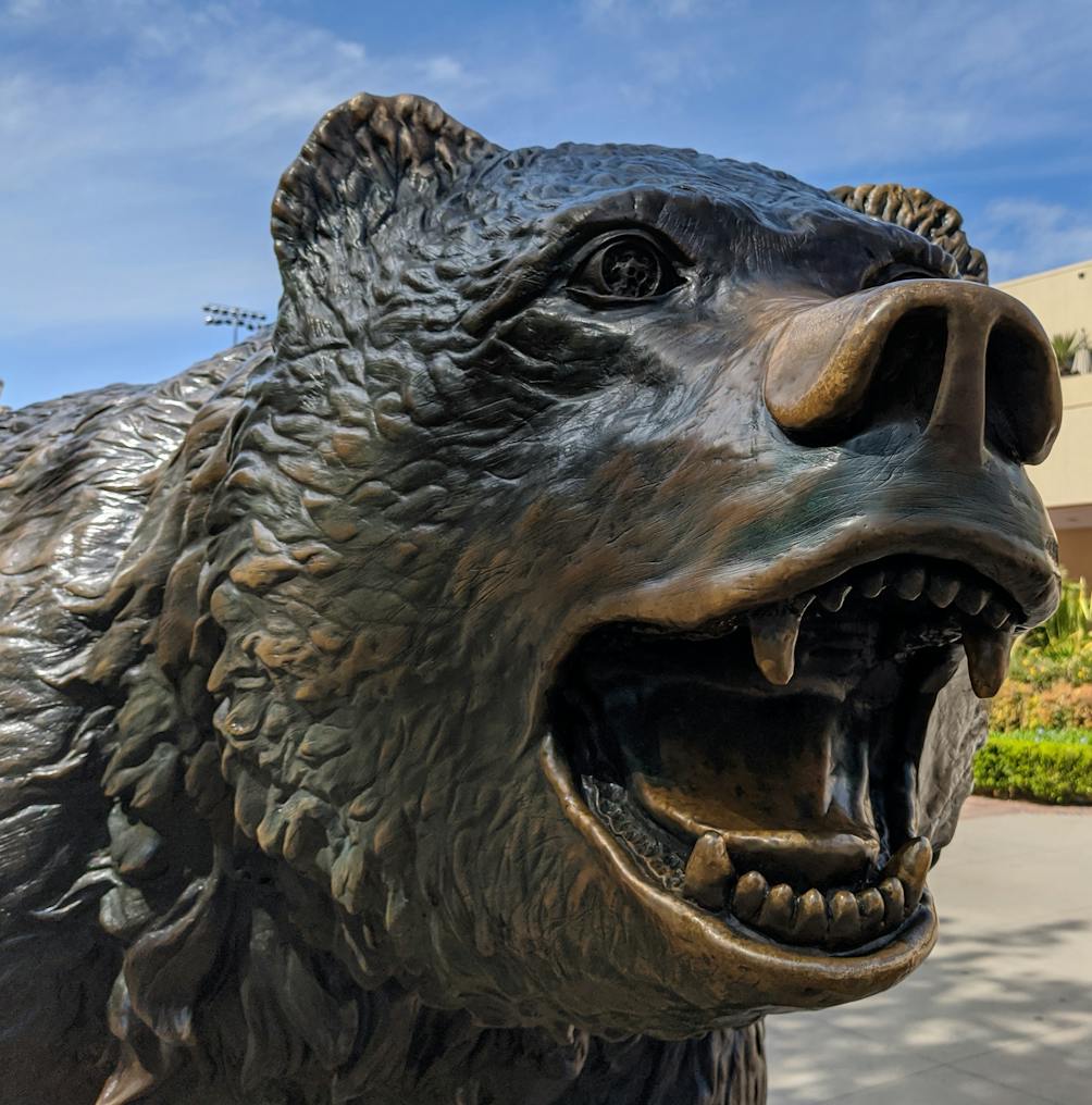 Growling Bruin Bear sculpture at UCLA campus in Los Angeles 