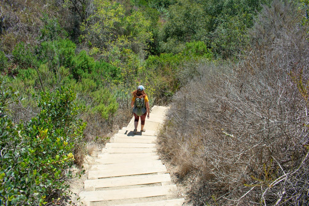 Hiker going down stairs surrounded by trees enroute to Coast Royale Beach in Orange County 