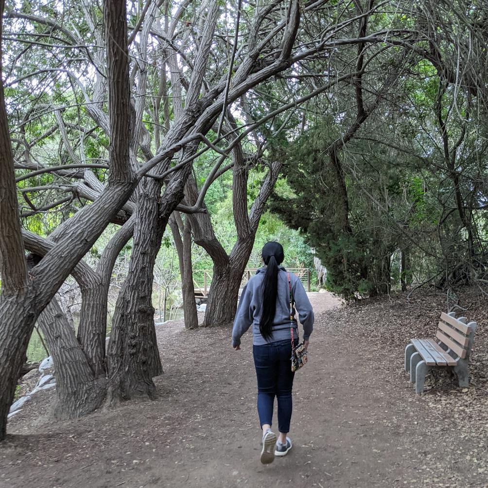 Woman walking under oaks and by a bench in El Dorado Regional Park east Long Beach Los Angeles County 