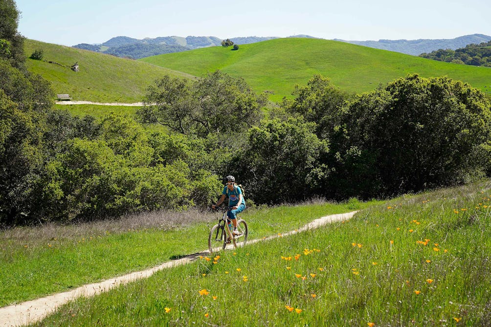 Biker on a trail at Helen Putnam Regional Park in Sonoma County Petaluma