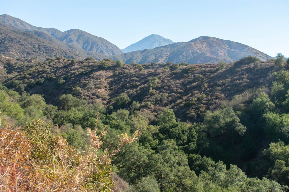 Mountainous view in Claremont Hills Wilderness Park in Los Angeles County 