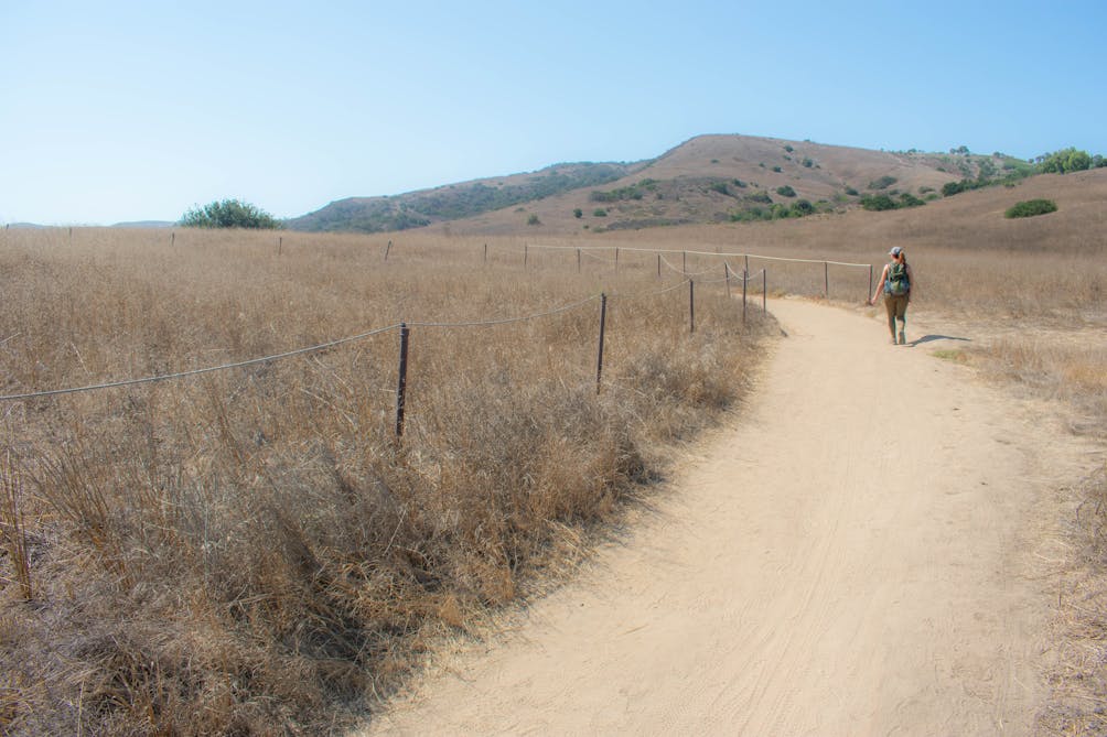 Hiker on a wide open trail at Bommer Canyon Open Space Preserve in Orange County 