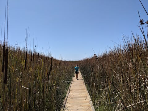 Woman hiking on a boardwalk at Buena Vista Lagoon in Carlsbad