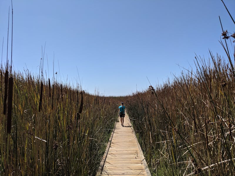 Woman hiking on a boardwalk at Buena Vista Lagoon in Carlsbad 