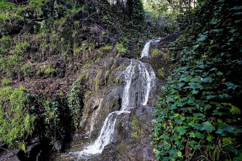 Hidden waterfall in Berkeley 
