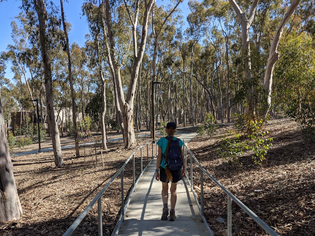 Woman walking through the eucalyptus forest at University of California, San Diego 