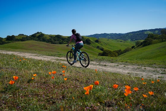 Mountain biker on the trail at Fernandez Ranch in Martinez in the East Bay 