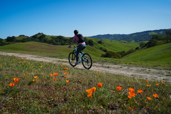 Biker on a trail at Fernandez Ranch in Martinez East Bay
