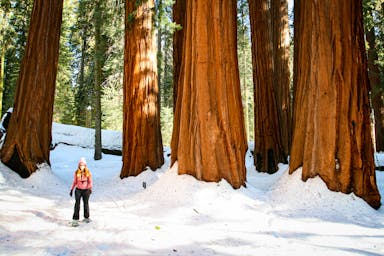 woman snowshoeing in Sequoia National Park