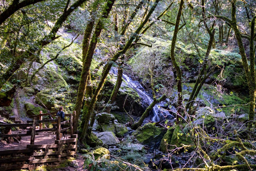 Woman at overlook watching Cataract Falls on Mount Tam in Marin 