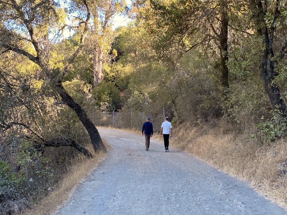 Hikers on a wide and flat trail at St. Joseph's Hill in Los Gatos 