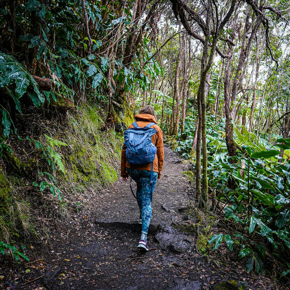 Hiker going through the forest in Hawaii Volcanoes National Park