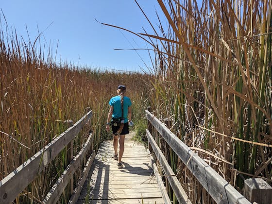 Woman on a boardwalk at Buena Vista Lagoon in Carlsbad